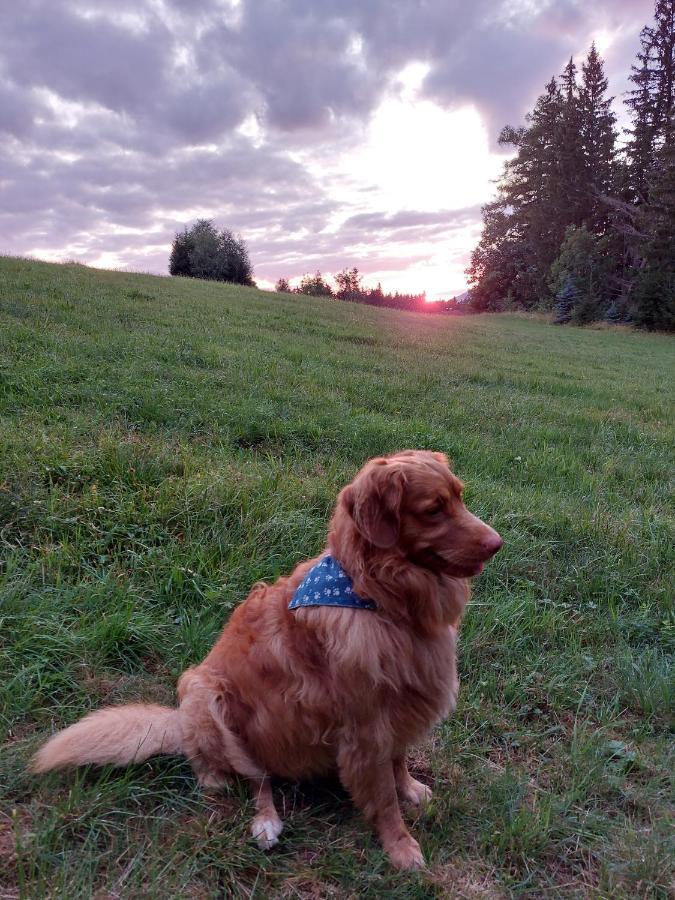 Penzion Na Vysluni Strasin Buitenkant foto