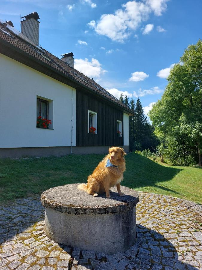 Penzion Na Vysluni Strasin Buitenkant foto