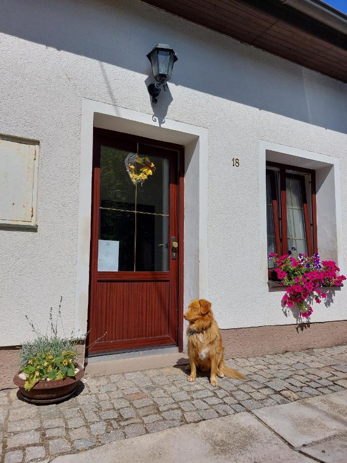 Penzion Na Vysluni Strasin Buitenkant foto