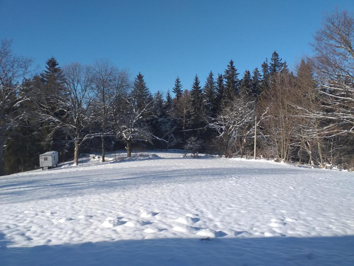 Penzion Na Vysluni Strasin Buitenkant foto